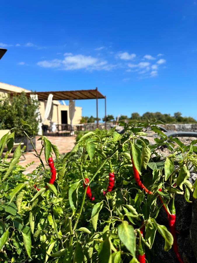 La Cantina Villa Di Campagna Acireale Exteriér fotografie